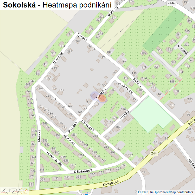 Mapa Sokolská - Firmy v ulici.