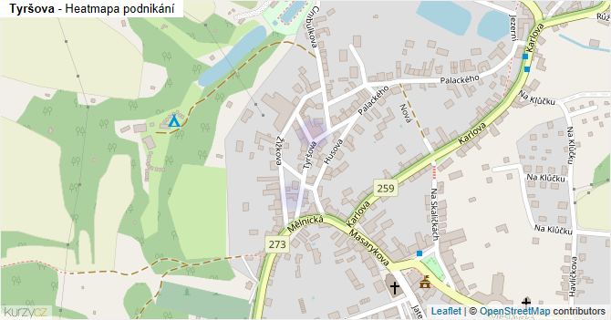 Tyršova - mapa podnikání
