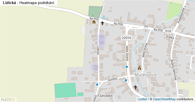 Lidická - mapa podnikání
