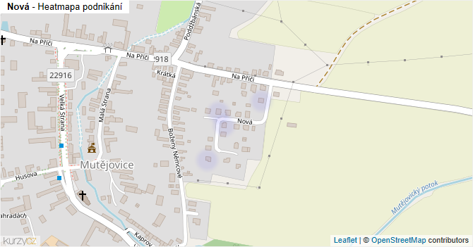 Nová - mapa podnikání