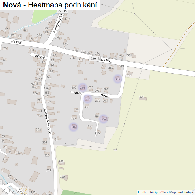 Mapa Nová - Firmy v ulici.