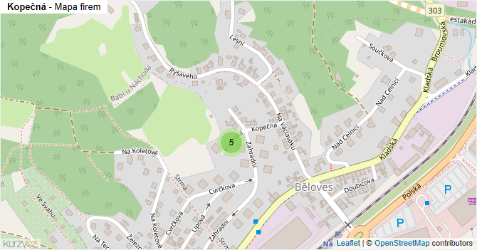 Kopečná - mapa firem