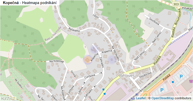 Kopečná - mapa podnikání