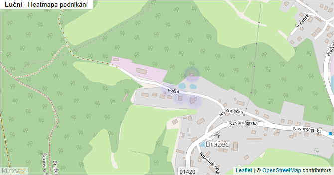 Luční - mapa podnikání
