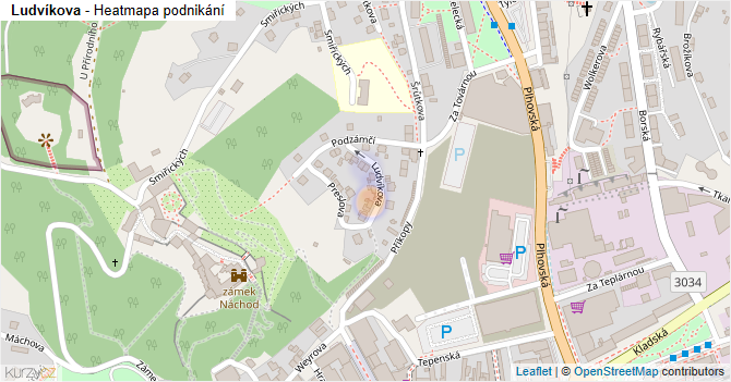 Ludvíkova - mapa podnikání