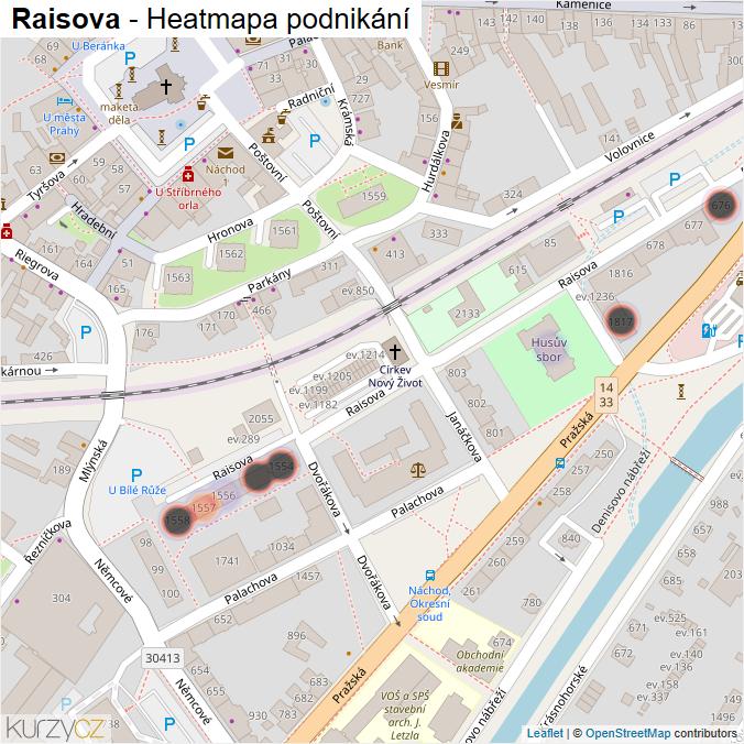 Mapa Raisova - Firmy v ulici.