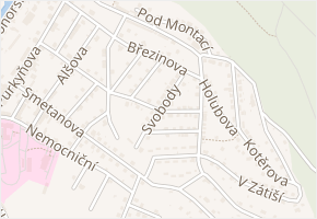 Svobody v obci Náchod - mapa ulice