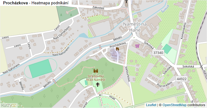 Procházkova - mapa podnikání