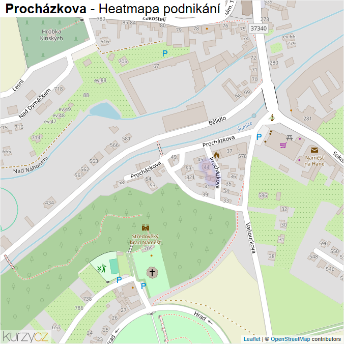 Mapa Procházkova - Firmy v ulici.