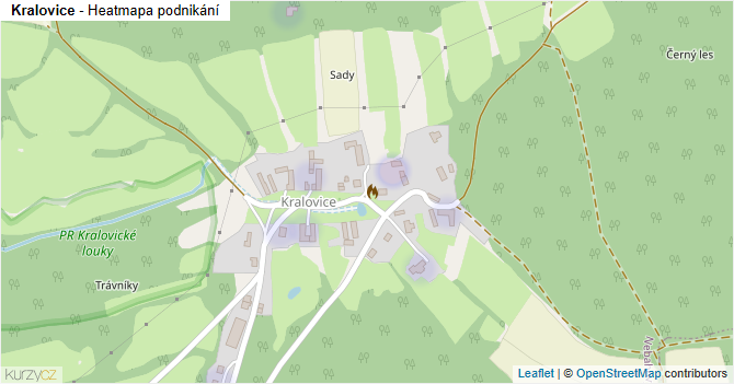 Kralovice - mapa podnikání
