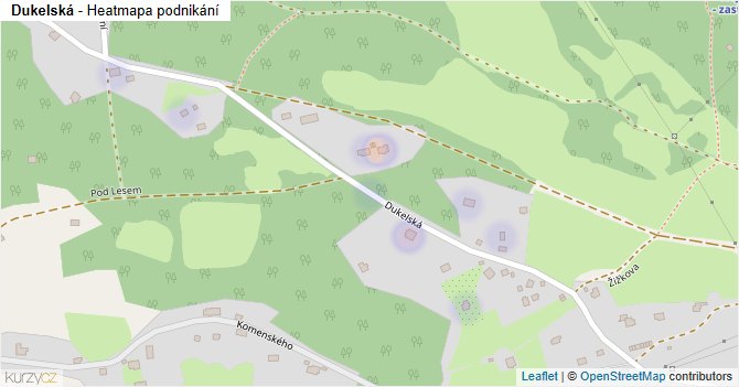 Dukelská - mapa podnikání