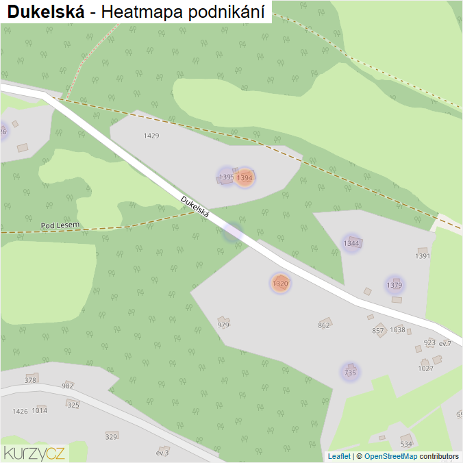 Mapa Dukelská - Firmy v ulici.