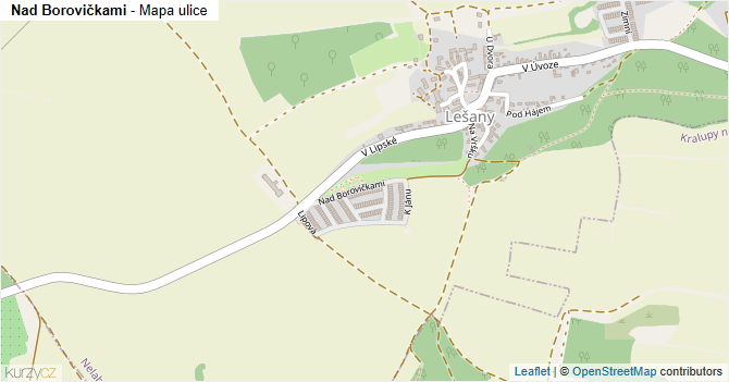 Nad Borovičkami - mapa ulice