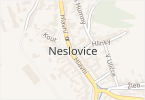 Neslovice v obci Neslovice - mapa části obce