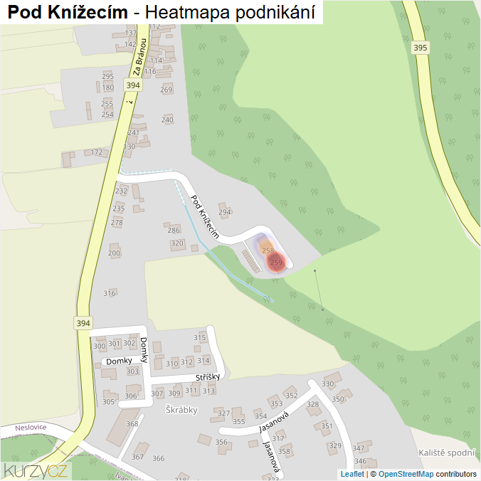 Mapa Pod Knížecím - Firmy v ulici.