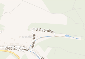 U Rybníka v obci Neslovice - mapa ulice