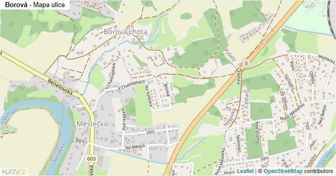 Borová - mapa ulice