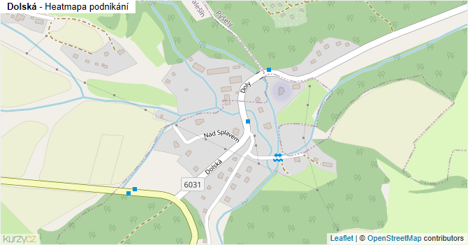 Dolská - mapa podnikání