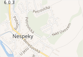 Petrovice v obci Nespeky - mapa ulice