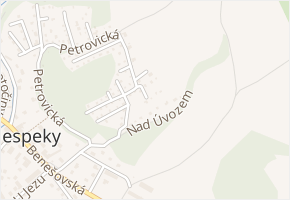 Ve Strži v obci Nespeky - mapa ulice