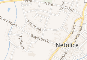 Ptáčník v obci Netolice - mapa ulice
