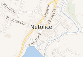 Triumf v obci Netolice - mapa ulice