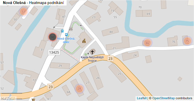 Nová Olešná - mapa podnikání