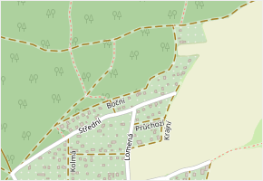 Boční v obci Nová Ves pod Pleší - mapa ulice