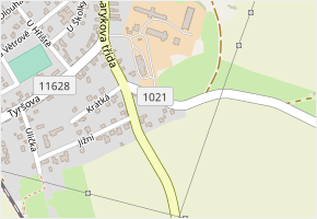 Lečická v obci Nová Ves pod Pleší - mapa ulice
