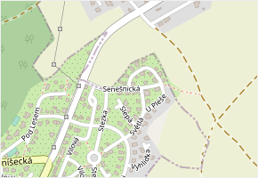 Senešnická v obci Nová Ves pod Pleší - mapa ulice