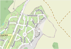 Světlá v obci Nová Ves pod Pleší - mapa ulice