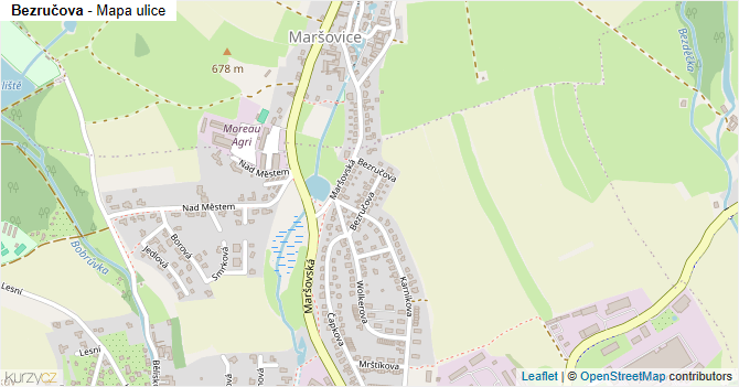 Bezručova - mapa ulice