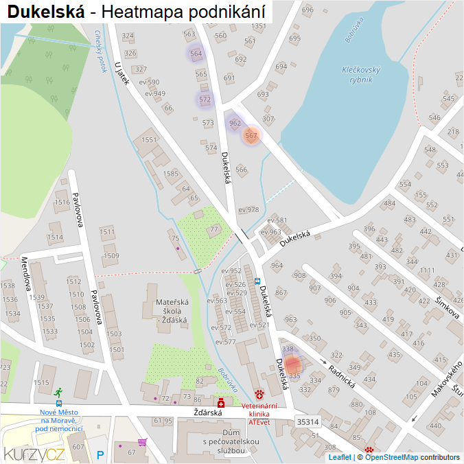 Mapa Dukelská - Firmy v ulici.