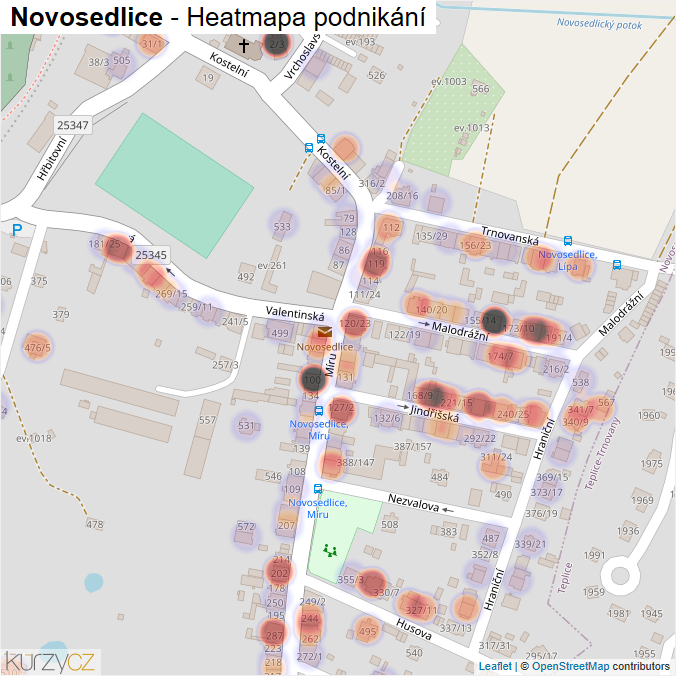 Mapa Novosedlice - Firmy v části obce.