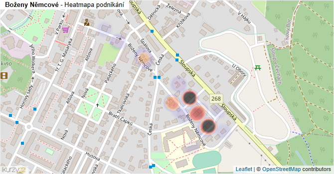 Boženy Němcové - mapa podnikání