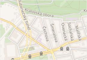 Dvorní v obci Nový Bor - mapa ulice