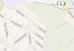 Lesní čtvrť v obci Nový Bor - mapa ulice
