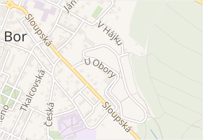 U Obory v obci Nový Bor - mapa ulice