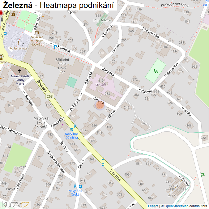 Mapa Železná - Firmy v ulici.