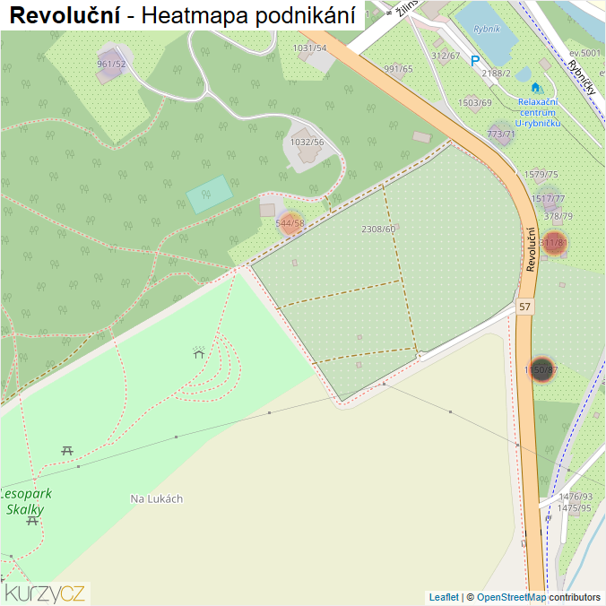 Mapa Revoluční - Firmy v ulici.