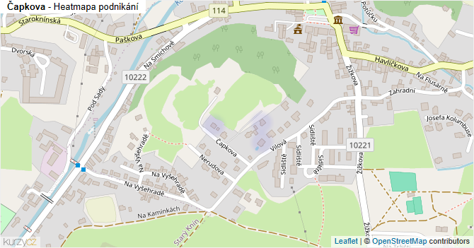 Čapkova - mapa podnikání
