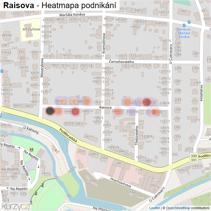 Mapa Raisova - Firmy v ulici.