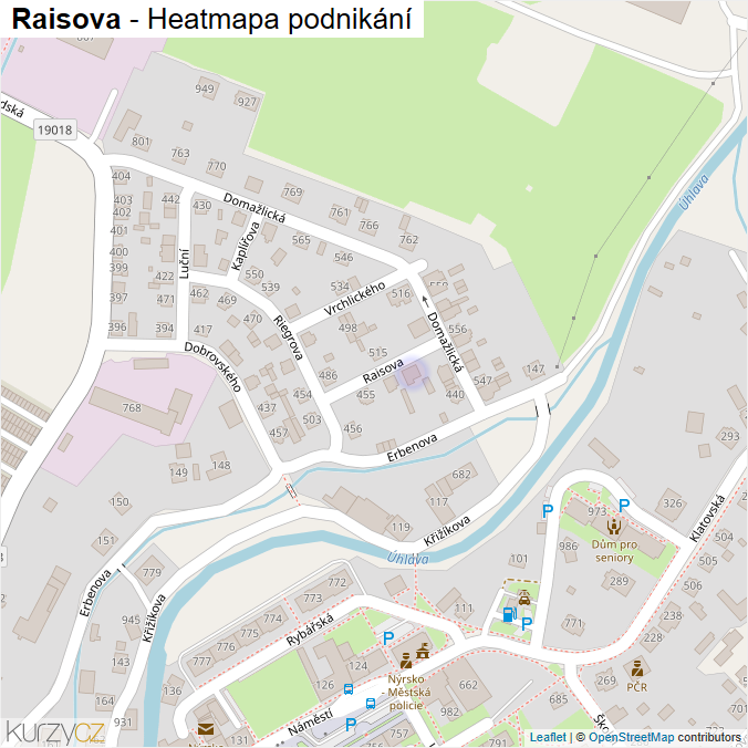 Mapa Raisova - Firmy v ulici.