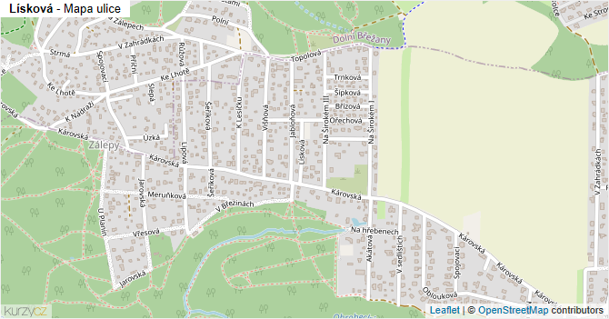 Lísková - mapa ulice