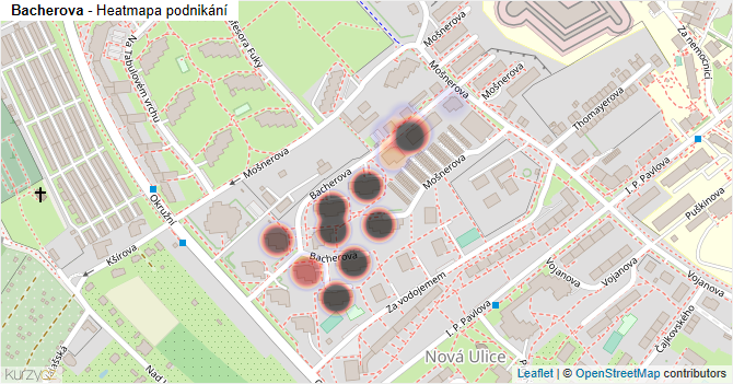 Bacherova - mapa podnikání