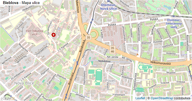 Bieblova - mapa ulice