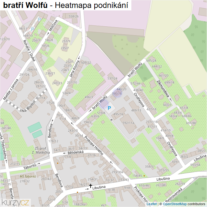Mapa bratří Wolfů - Firmy v ulici.