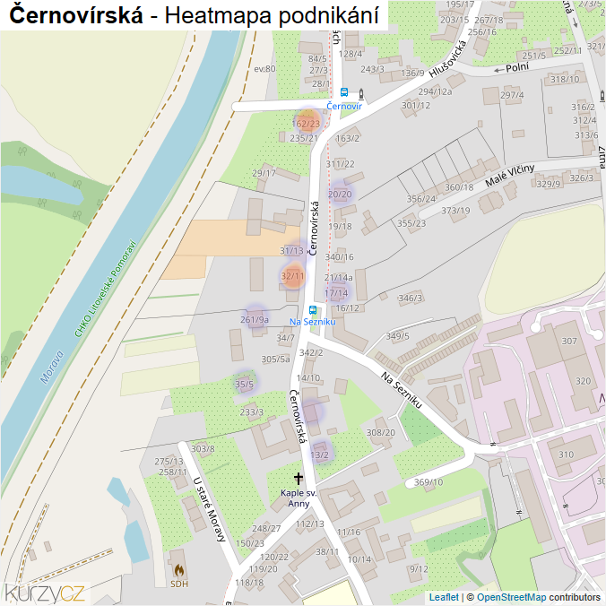 Mapa Černovírská - Firmy v ulici.