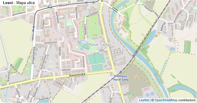 Lesní - mapa ulice