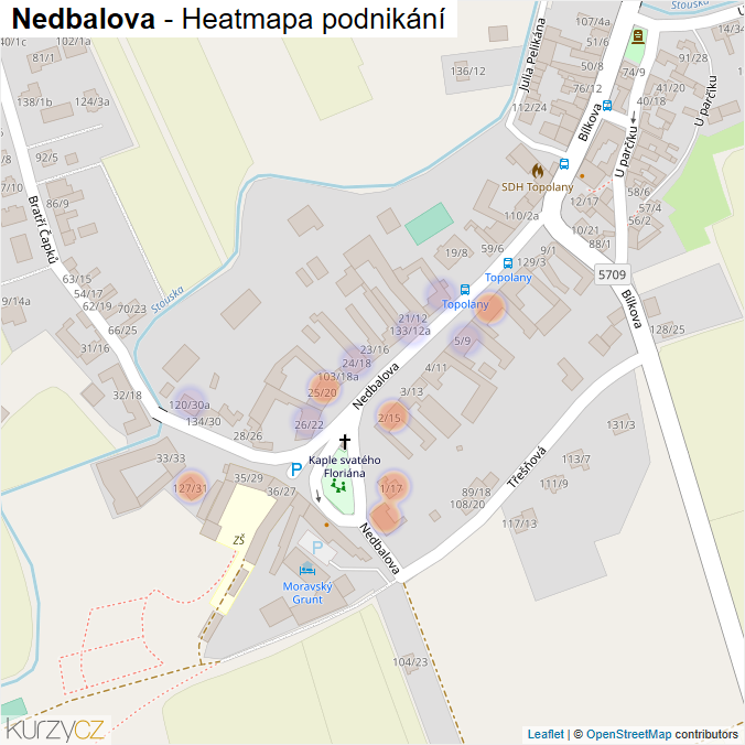 Mapa Nedbalova - Firmy v ulici.